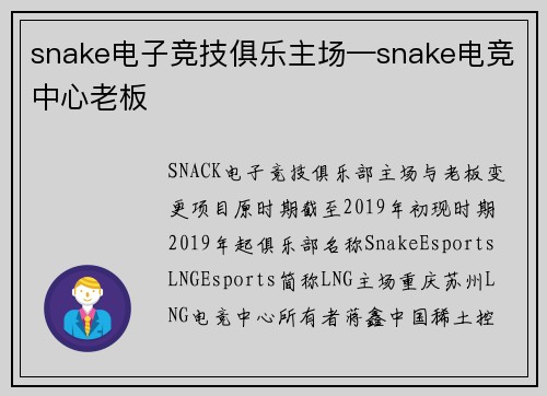 snake电子竞技俱乐主场—snake电竞中心老板